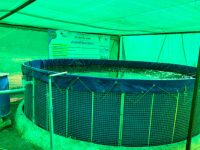 Aquaponics Unit